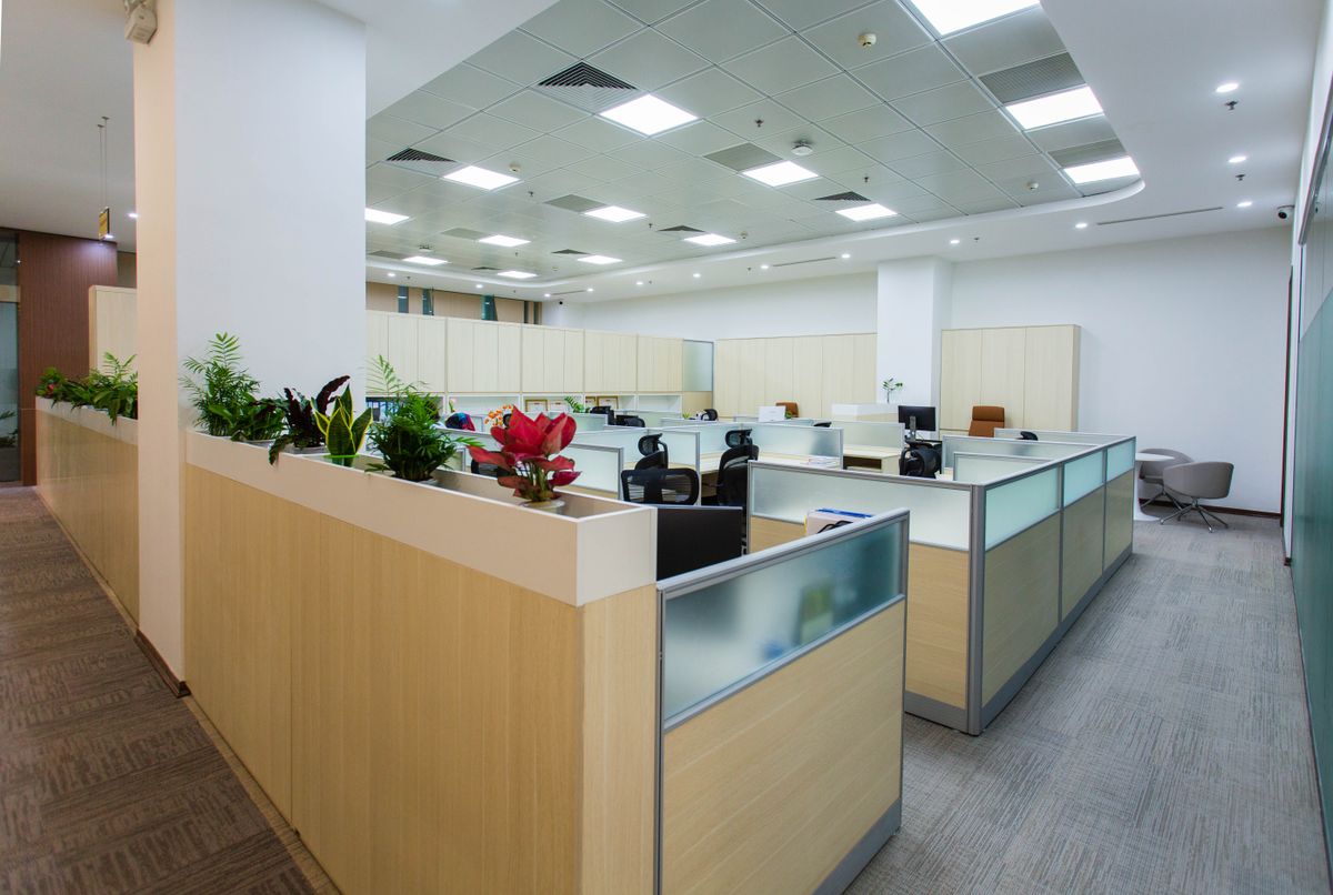 Oficina diáfana con puestos de trabajo y plantas